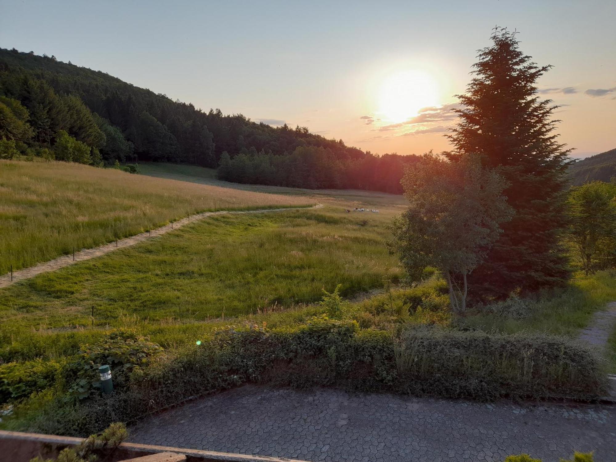 Schwarzwald Pur Apartment Sasbachwalden Exterior foto